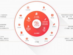 T+cloud（小微企业人财货客一体化）