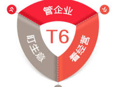 T6成长型企业应用平台