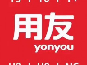 用友财务软件可能更适合会计新手，同事用了三天学会了全盘帐